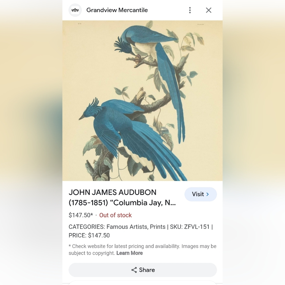 JOHN JAMES AUDUBON (1785-1851) "Columbia Jay, No. 20” Print 1948 - Picture 9 of 11